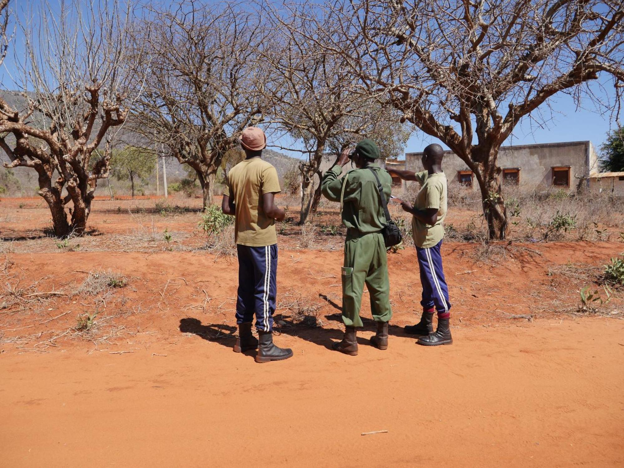 Tausa Tsavo Eco Lodge Voi Exteriör bild