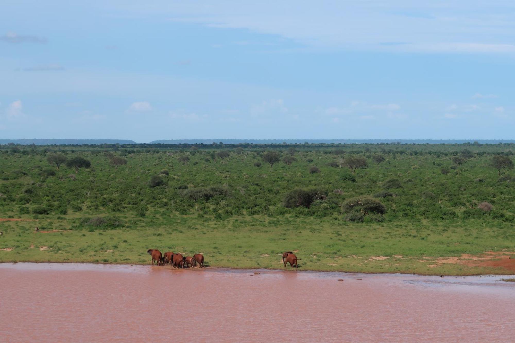 Tausa Tsavo Eco Lodge Voi Exteriör bild